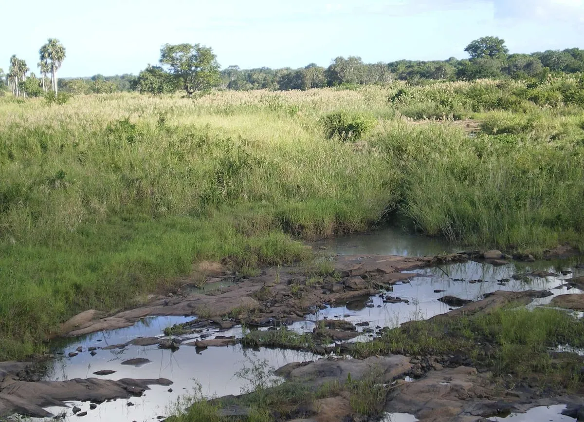 Riacho e mata na Reserva Nacional de Gilé