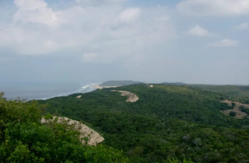 Costa arborizada da Ilha de Inhaca vista do alto