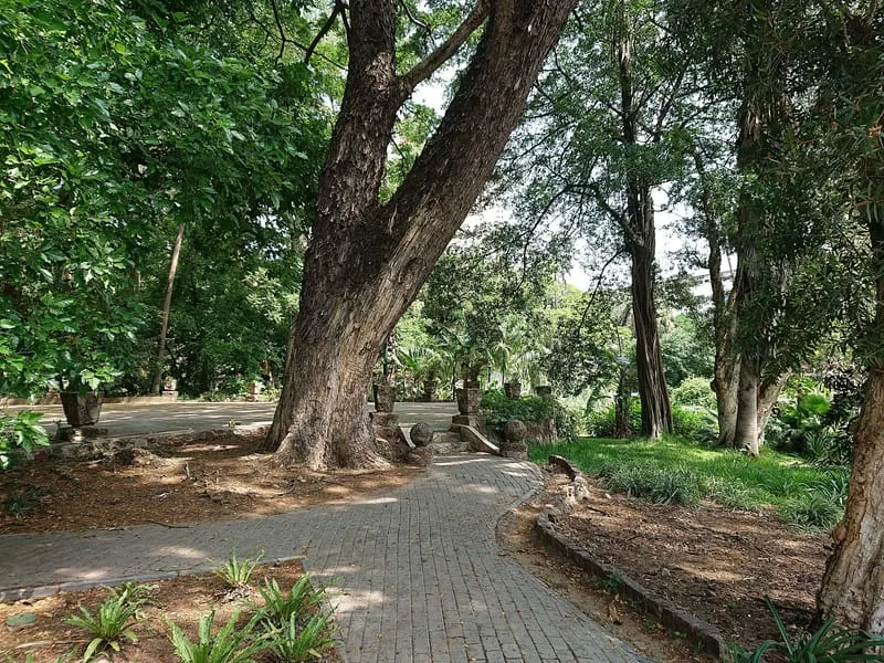 Passeio à sombra das árvores no Jardim Tunduru, em Maputo